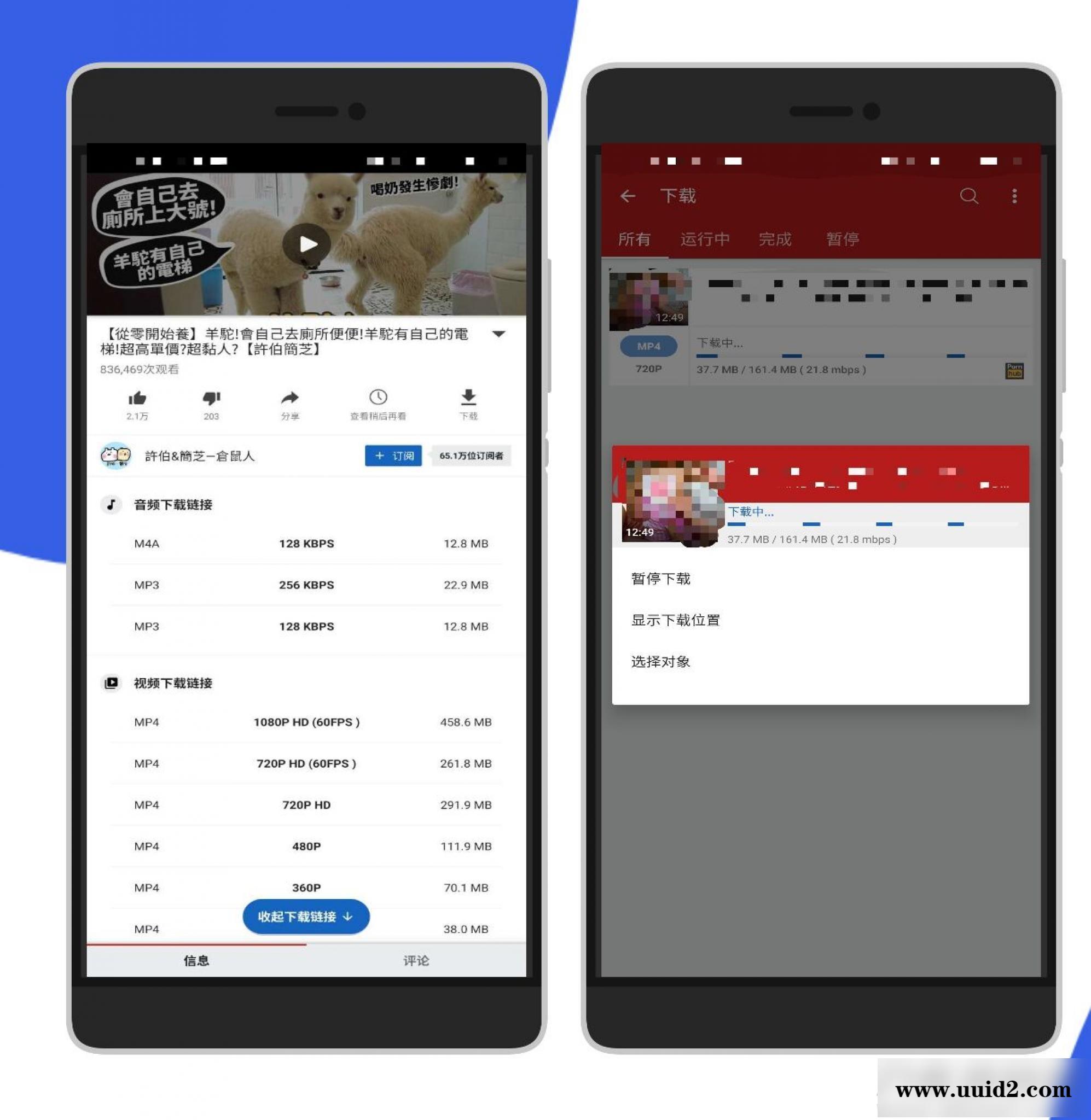 安卓–油管/P站视频下载器–支持付费下载