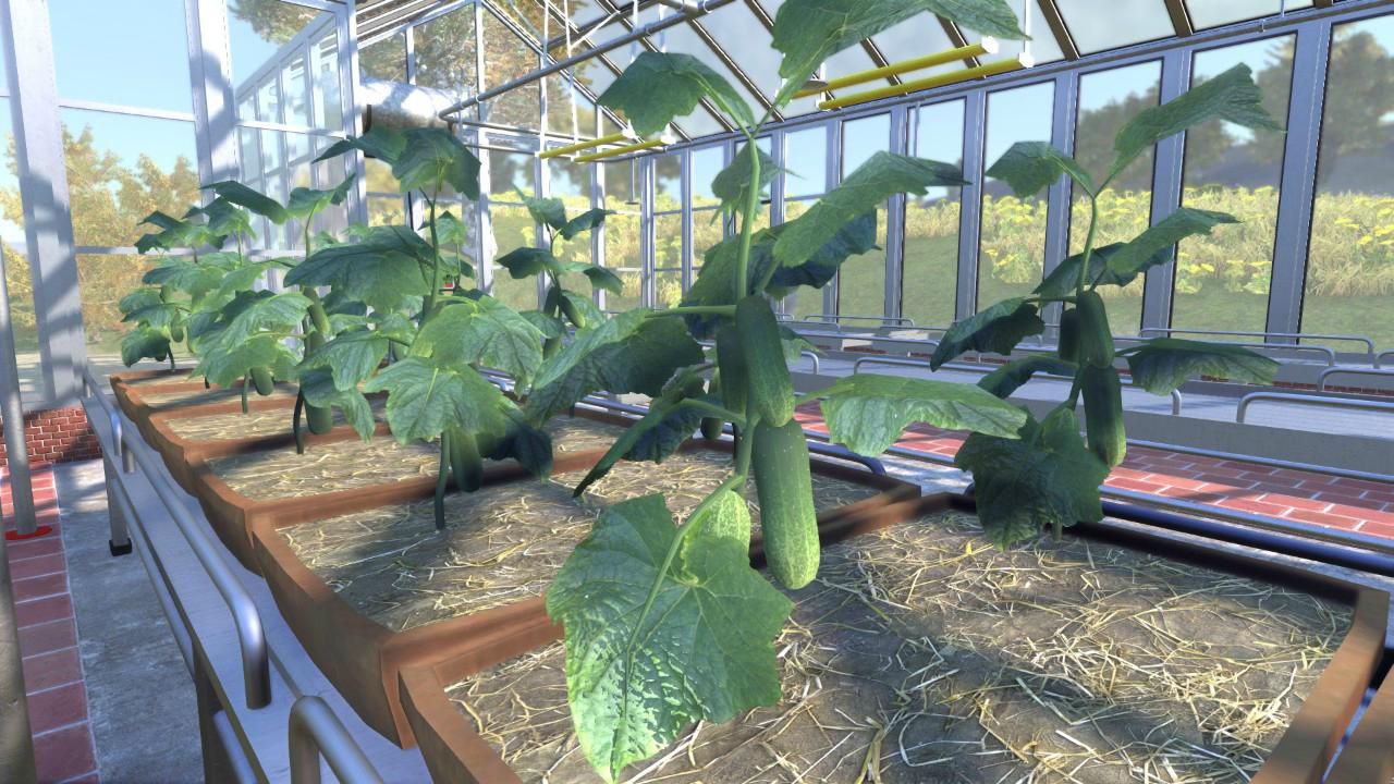 1595909681627300.jpg 6.jpg