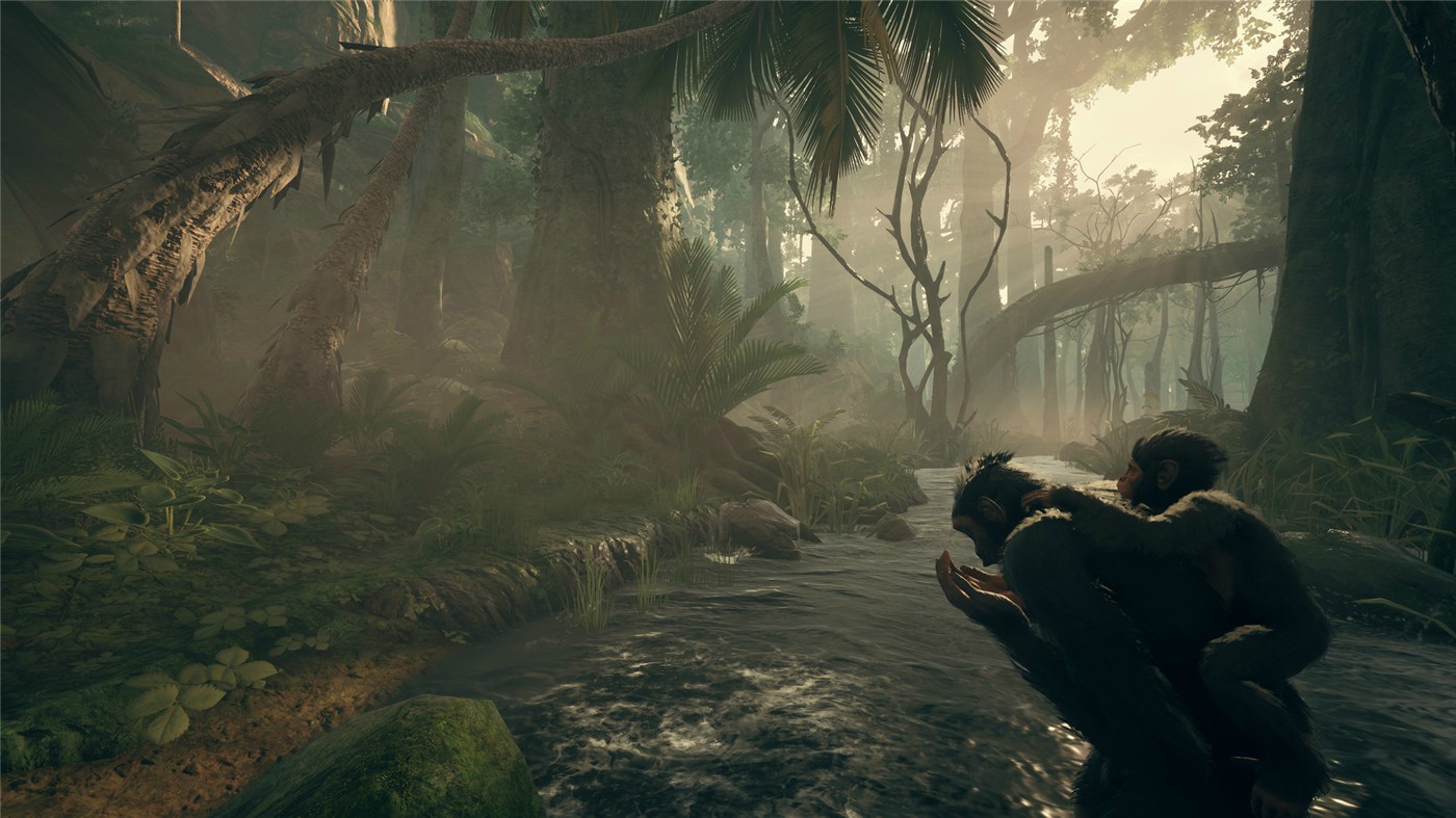 1614770446456030.jpg 2.jpg