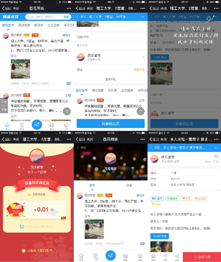 DZ插件 价值798元【西瓜】分类信息 65.20180512