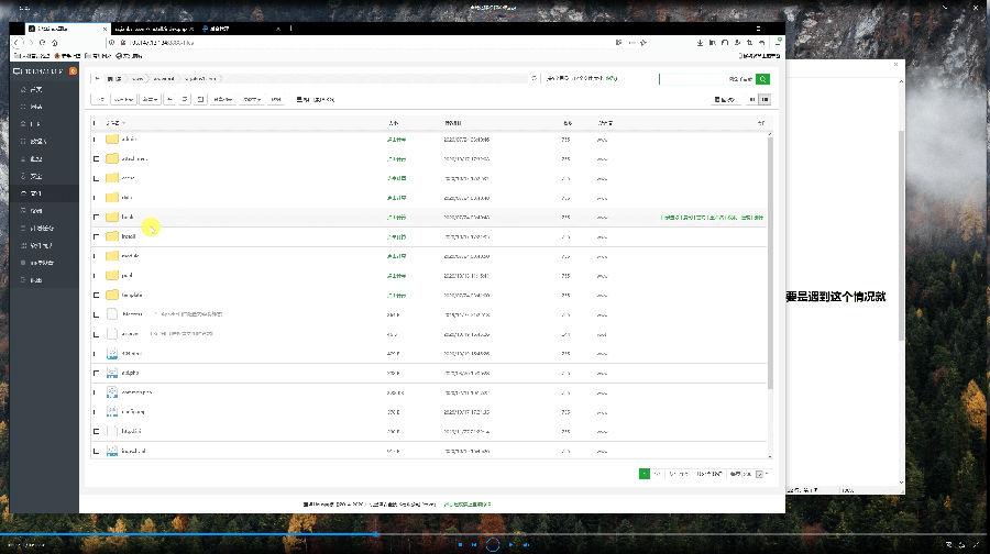 【精品教程】逍遥商城单商户版仿友家商城二开版网站源码接入个人免签支付配套搭建视频教程