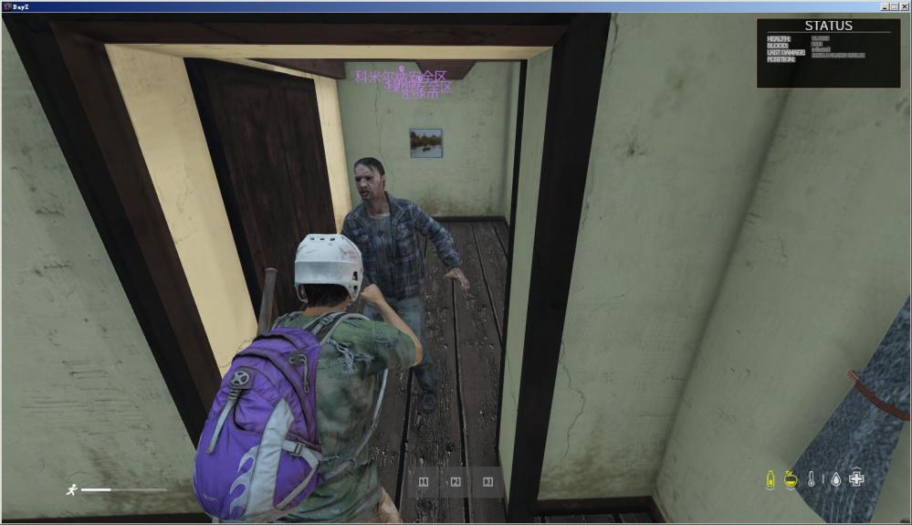 端游【DayZ-1.10】一键服务端+客户端+MOD+配套教程