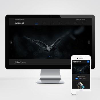 (自适应手机端)响应式高端摄影网站pbootcms模板 黑色酷炫数码摄影网站源码下载