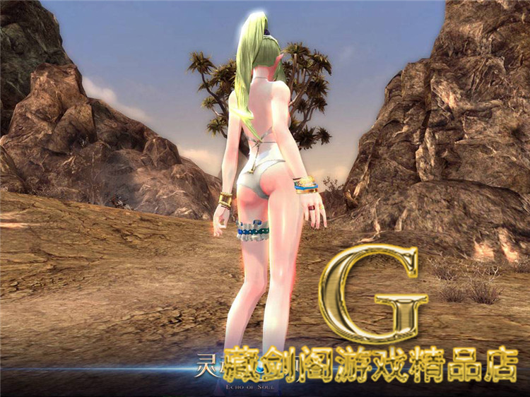 最新宝端【灵魂回响】3D网络游戏内附视频教程GM刷灵魂币金币物品装备