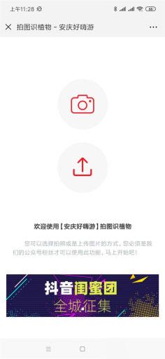 通用功能模块:植物识别V1.0.4 原版拍照或者上传植物图片自动识别名称公众号吸