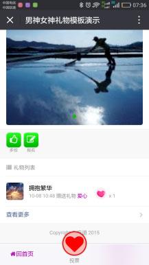 功能模块:男神女神投票4.0.30+投票工具+短信+自助查询