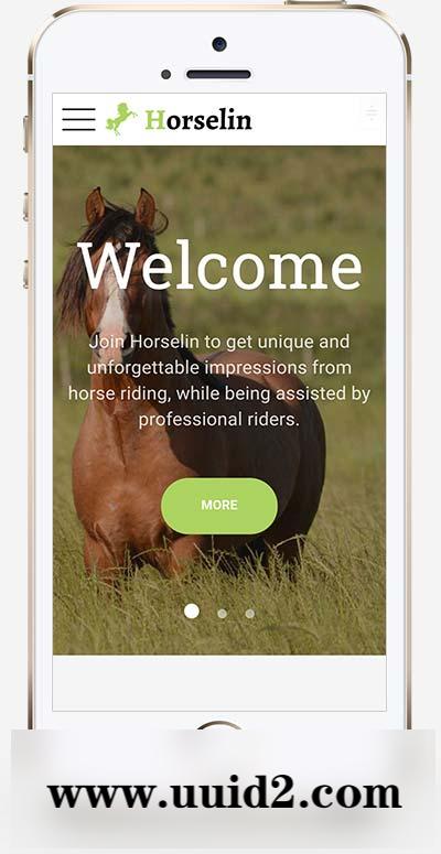 (自适应手机端)养马场畜牧业英文网站pbootcms模板 马匹饲养养殖场网站模板下载