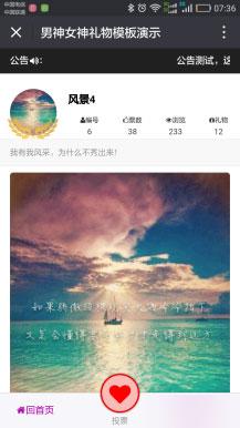 功能模块:男神女神投票4.3.0+投票工具3.0.6+排名自助查询1.05.19